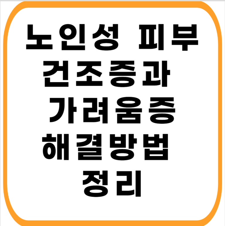 28편 : 노인성 피부 건조증과 가려움증: 올바른 목욕 주기와 피부 장벽을 지키는 보습제 도포법