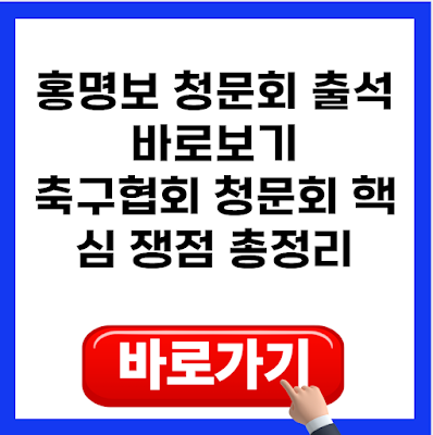 홍명보 청문회 출석 바로보기｜축구협회 청문회 핵심 쟁점 총정리